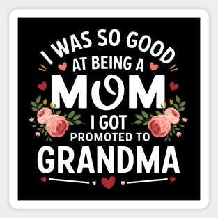 Promoted to Grandma - Hearts & Roses Magnet